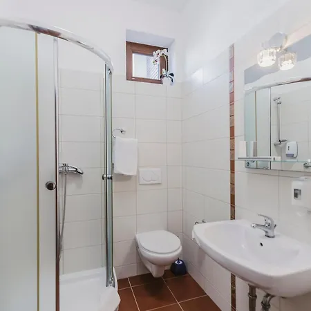 I Restauracja Borowianka 3* オストルフ・ビエルコポルスキ