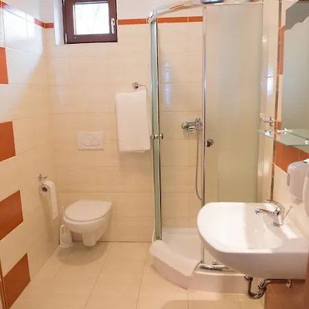 Borowianka Hotel Ostrów Wielkopolski