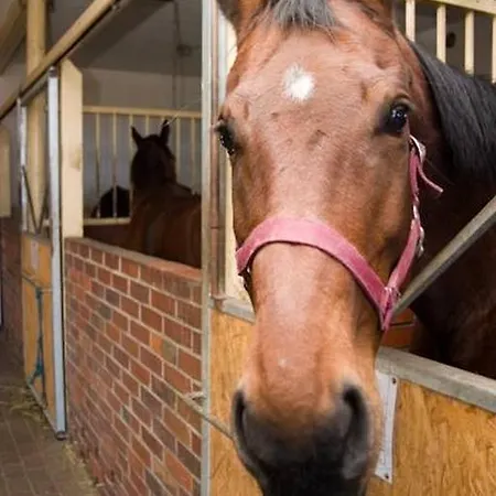 ホテル I Restauracja Borowianka