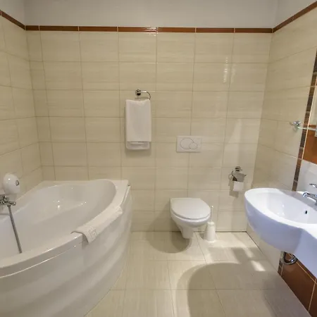 ホテル I Restauracja Borowianka 3*