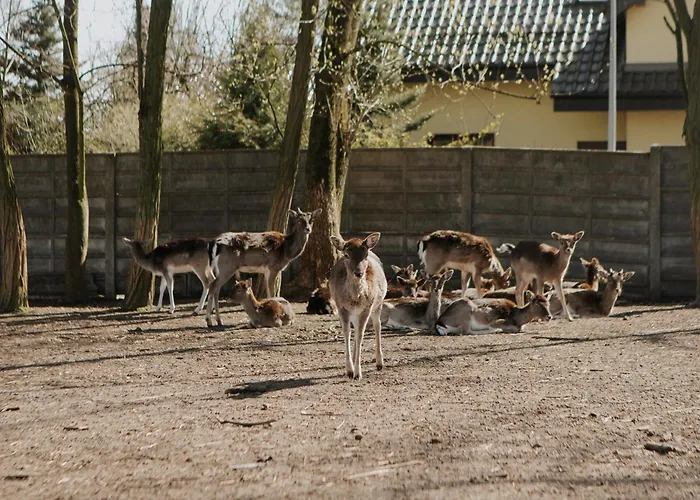 I Restauracja Borowianka Hotel